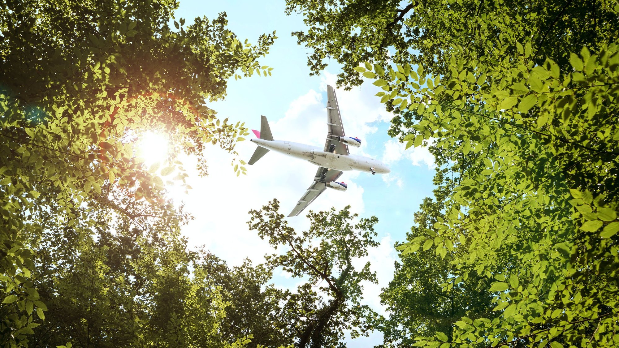 Airplane flying above a dense forest